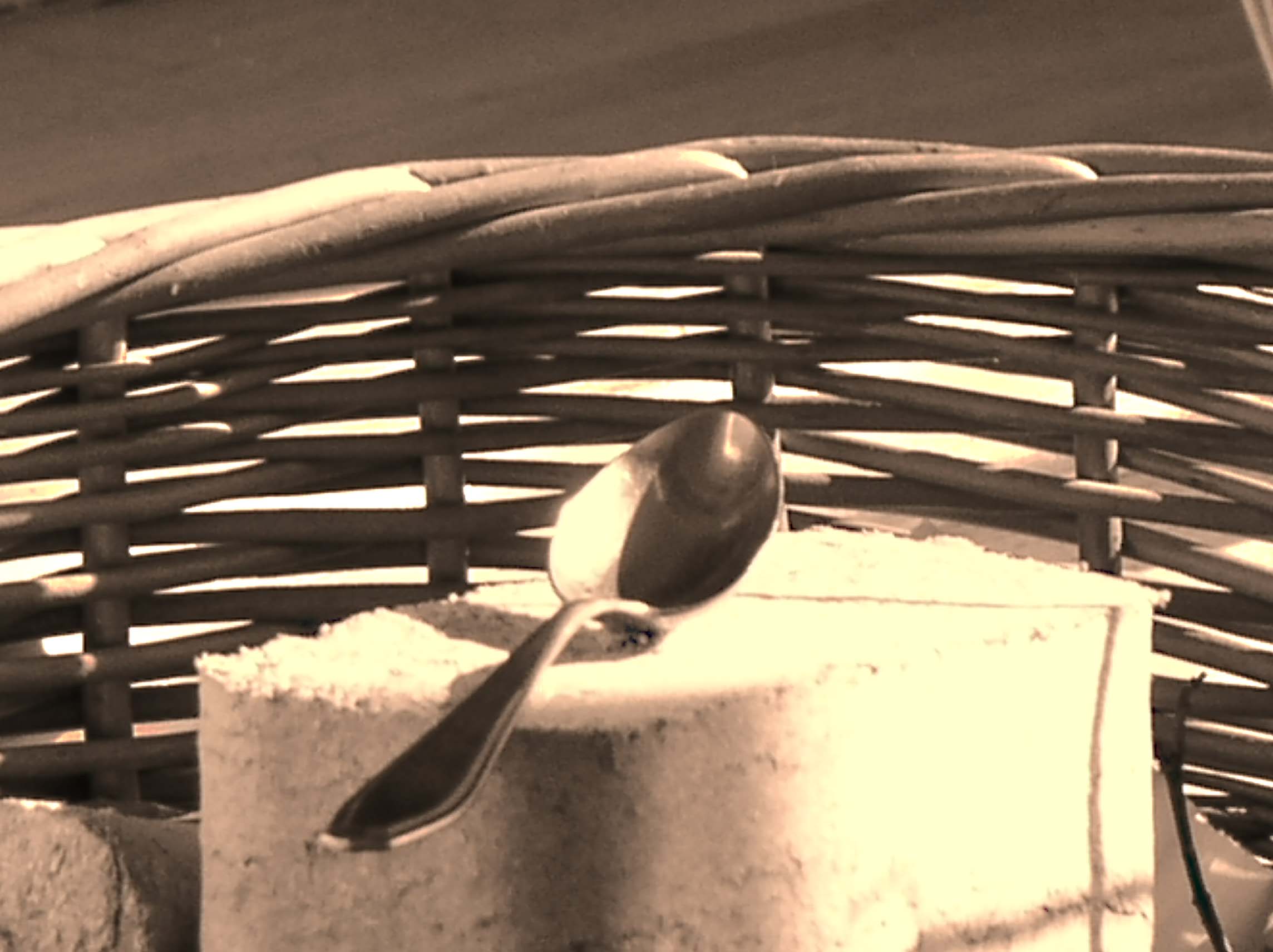 P1010069.jpg